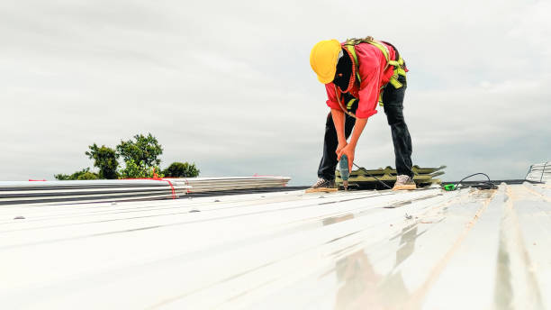 Best Hot Roofs  in Tyler, MN